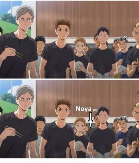 The sight in itself was amusing because you. . Haikyuu x reader team